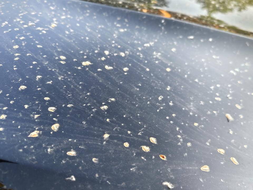 皇冠信用網登2登3_昨晚这场暴风骤雨皇冠信用網登2登3，让济南很多车辆变成“大花脸”