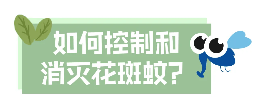 皇冠信用网账号注册_家里的这几个地方皇冠信用网账号注册，正悄悄“养”出花斑蚊！快自查→