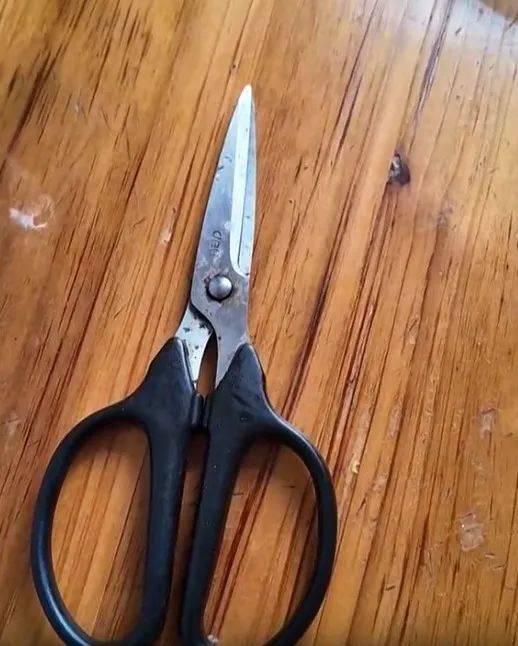 圣保利vs多特蒙德_太突然！上海98岁阿婆拿起剪刀圣保利vs多特蒙德，一把剪掉头上的“角”！网友：对自己够狠