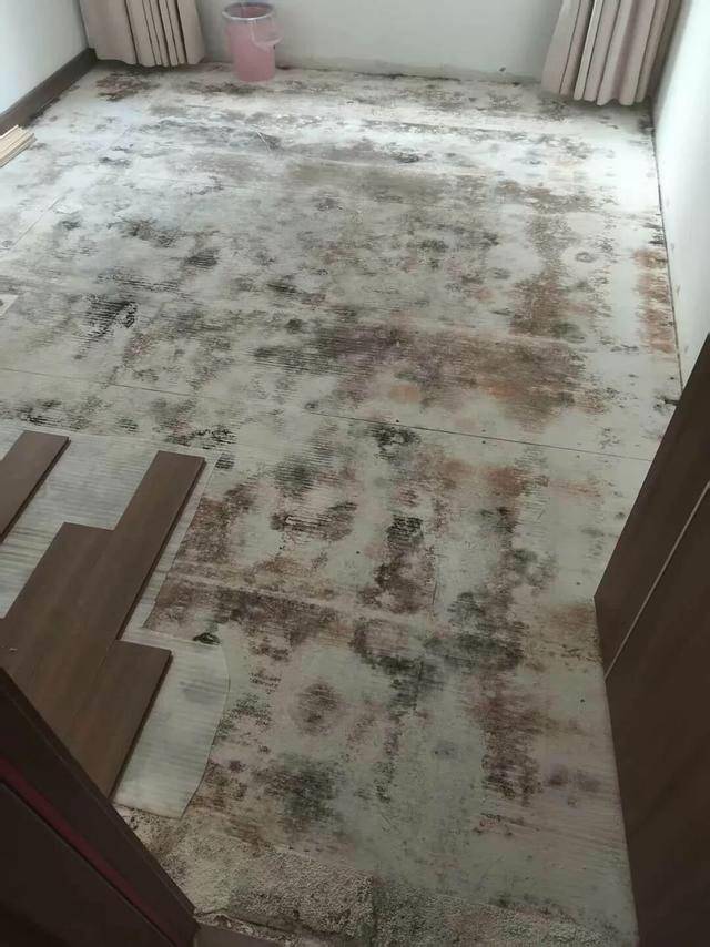皇冠信用网平台_河南郑州保利一小区超两百户精装房成“霉菌房” 皇冠信用网平台，家里一股霉味